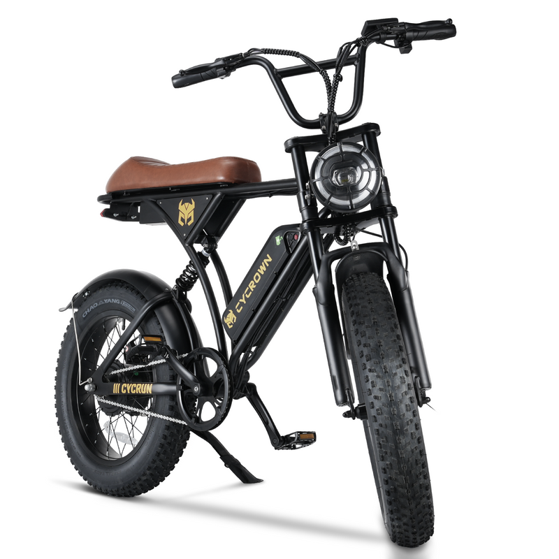 CycFree Long-Range Electric Bike – 500W, 32 km/h, Up to 120 km Range, Step-Thru Frame