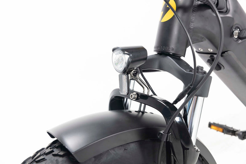 Professional Delivery E-Bike - 150km Range, 50kg Cargo, 32km/h Speed - Maximize Earnings