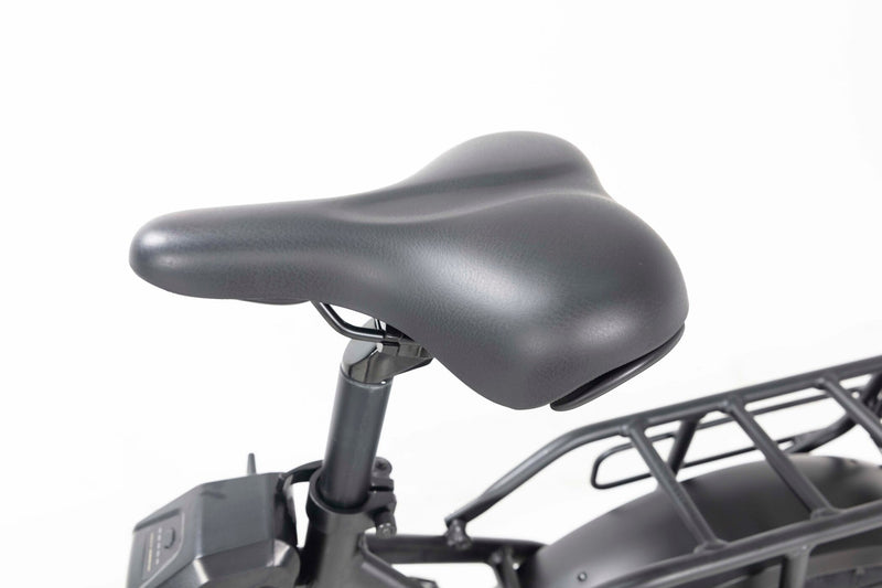 Professional Delivery E-Bike - 150km Range, 50kg Cargo, 32km/h Speed - Maximize Earnings