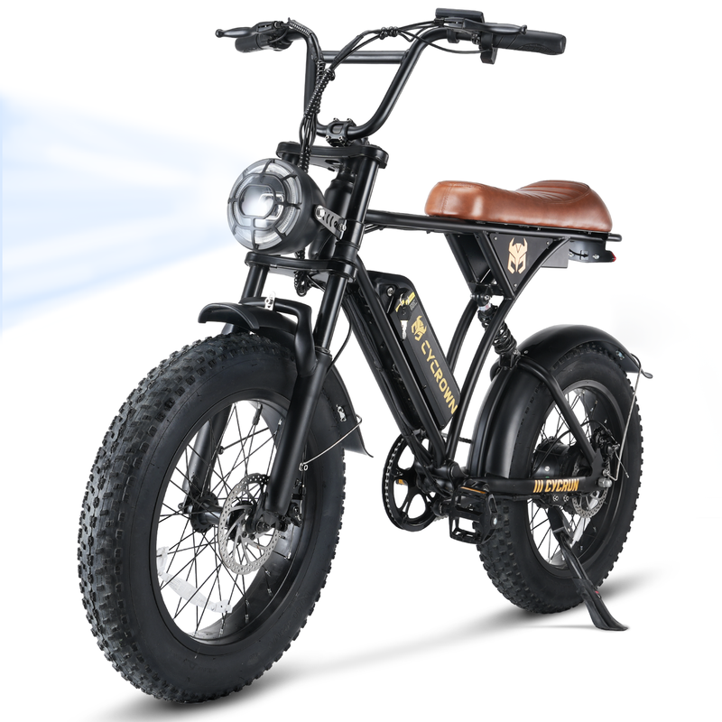 CycFree Long-Range Electric Bike – 500W, 32 km/h, Up to 120 km Range, Step-Thru Frame
