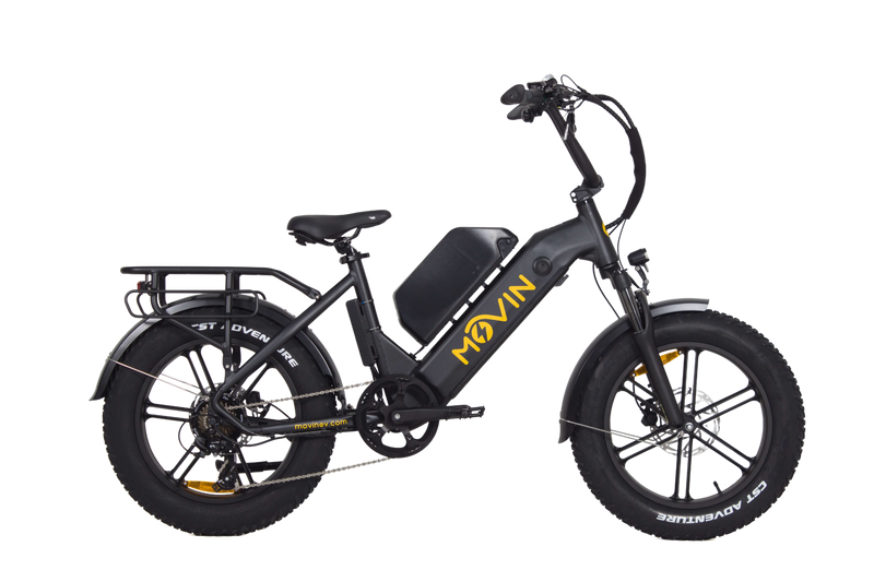 Professional Delivery E-Bike - 150km Range, 50kg Cargo, 32km/h Speed - Maximize Earnings