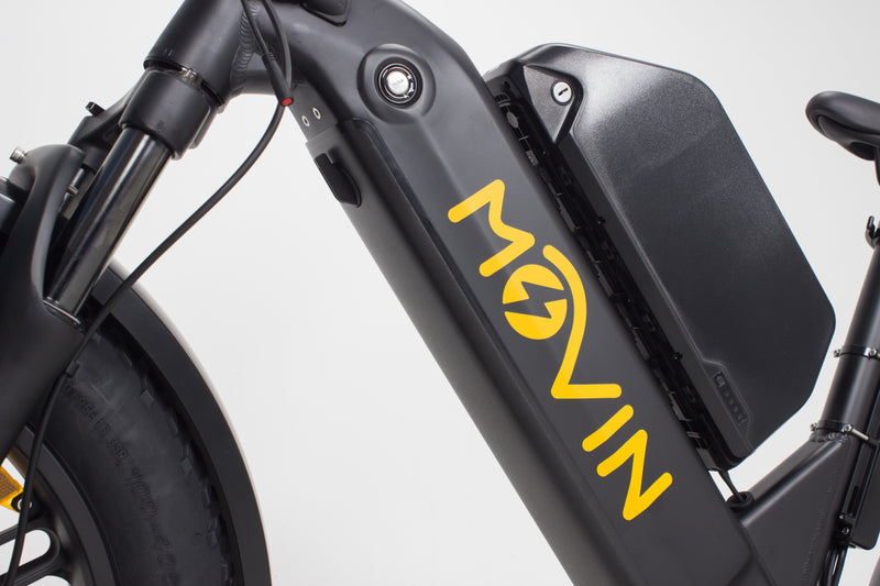 Professional Delivery E-Bike - 150km Range, 50kg Cargo, 32km/h Speed - Maximize Earnings