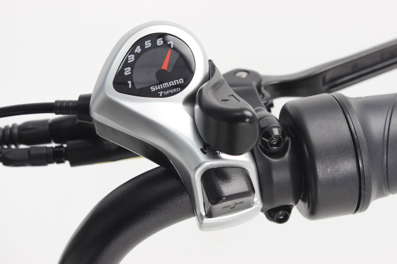 Professional Delivery E-Bike - 150km Range, 50kg Cargo, 32km/h Speed - Maximize Earnings