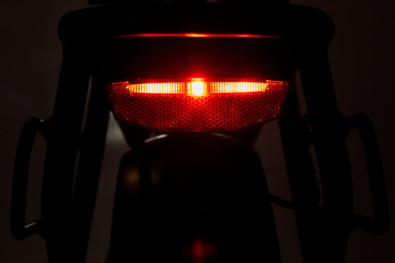 Professional Delivery E-Bike - 150km Range, 50kg Cargo, 32km/h Speed - Maximize Earnings