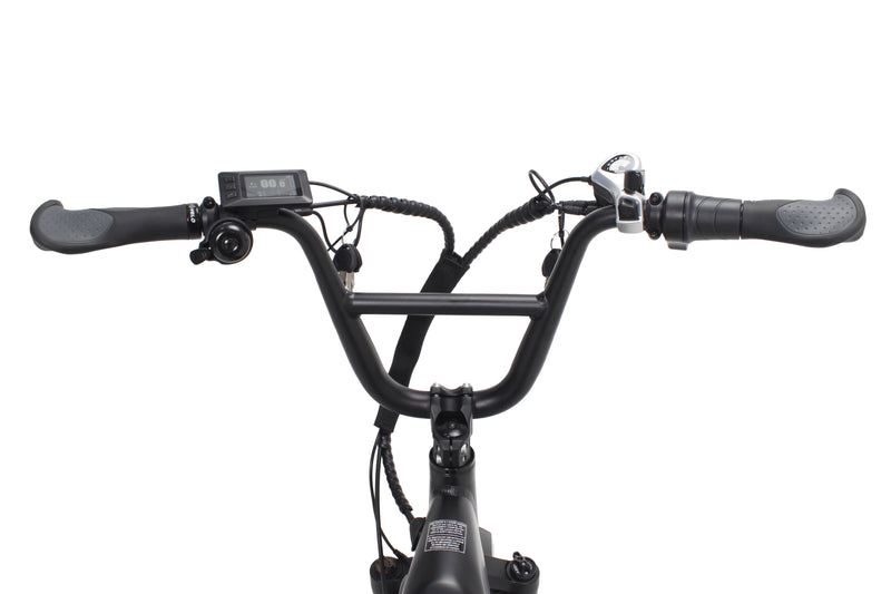 Professional Delivery E-Bike - 150km Range, 50kg Cargo, 32km/h Speed - Maximize Earnings