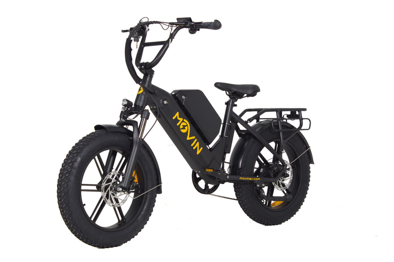 Professional Delivery E-Bike - 150km Range, 50kg Cargo, 32km/h Speed - Maximize Earnings