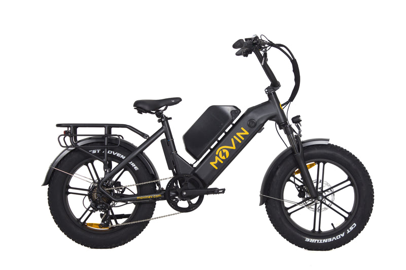 Professional Delivery E-Bike - 150km Range, 50kg Cargo, 32km/h Speed - Maximize Earnings