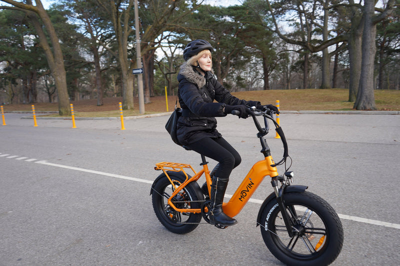 Professional Delivery E-Bike - 150km Range, 50kg Cargo, 32km/h Speed - Maximize Earnings