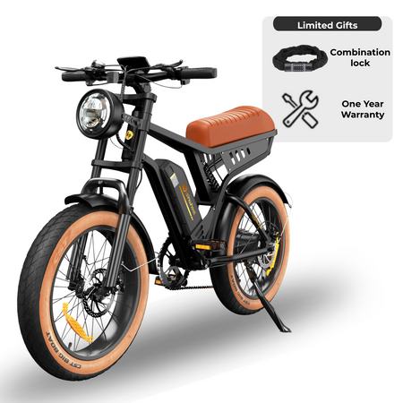 isinwheel R6 Retro Electric Bike – 750W Vintage Style Cruiser with Fat Tires