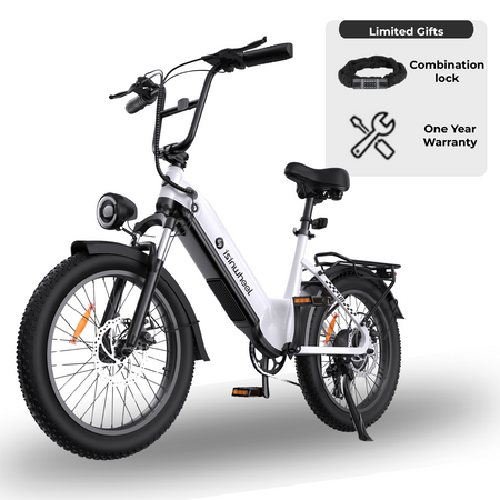 isinwheel U8 Series Electric Bike for Adults