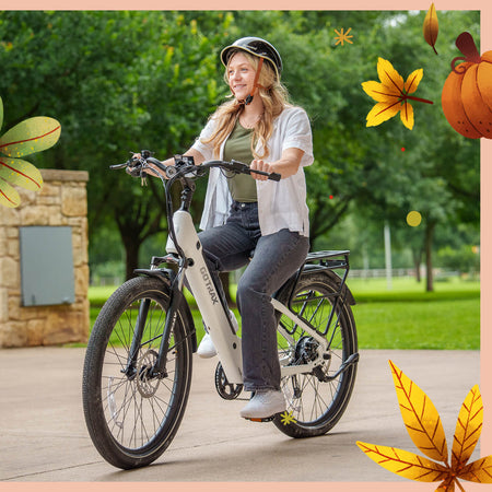 CTI3 Long Range Electric Bike 27.5