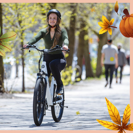 Dolphin Commuter Electric Bike 26