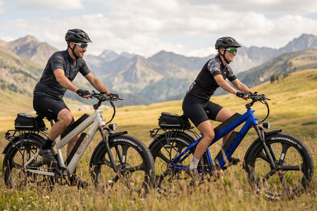 E-Wild Dual Ebike