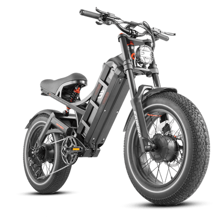 Eahora Romeo II Electric Bike | Dual-Wheel Drive E-Bike | Extra-Fat Tire Romeo II