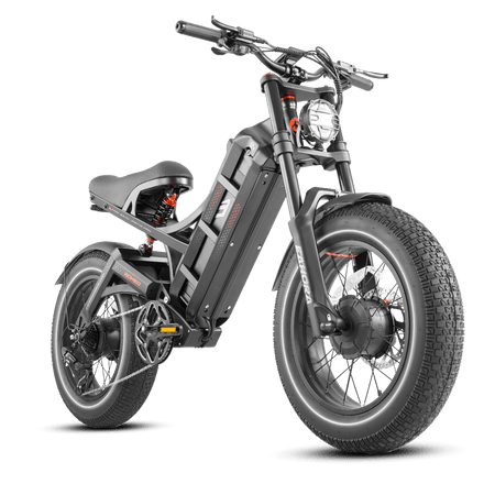 Eahora Romeo II – Dual 250W Motors (500W Total) | 32 km/h Max Speed | 20