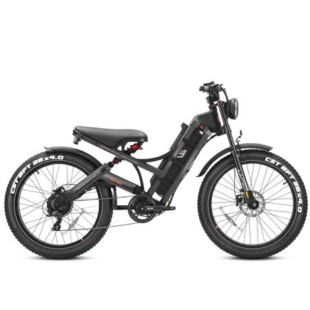 Eahora Romeo Pro Electric Bike | 1200W Adventure E-Bike | All-Terrain Romeo Pro