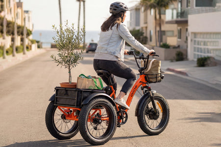 Oiios Triox Electric Tricycle