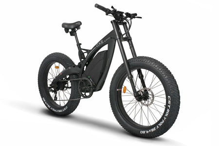 Fat Tire E-Bike