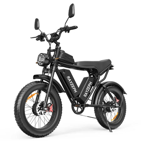 【EU&CA Stock】RAYZEPH C20 Max Dual Motors Dual Battery Electric Bike