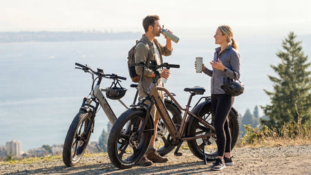 Gron Pro Ebike