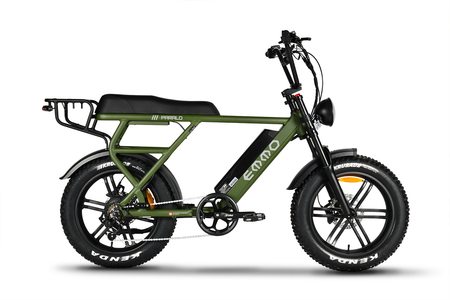 500W E-Bike – 48V 25Ah Samsung Battery, Step-Thru Frame, 32 km/h, 160 km Range